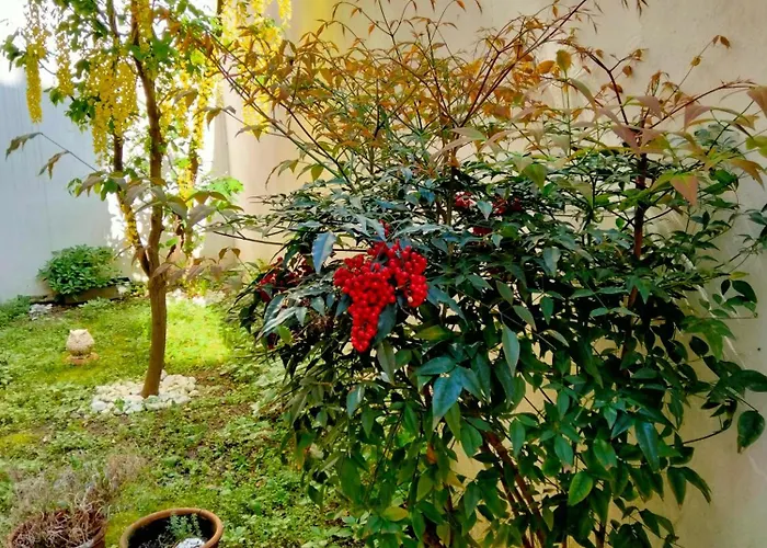 Casa Del 131 - Con Giardino 拉文纳